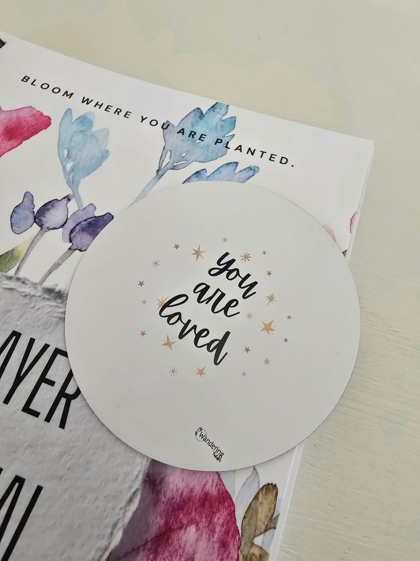 Mother's Gift Box|Wandering Tulips